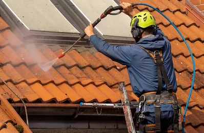 Démoussage et hydrofuge de toiture à Carlat